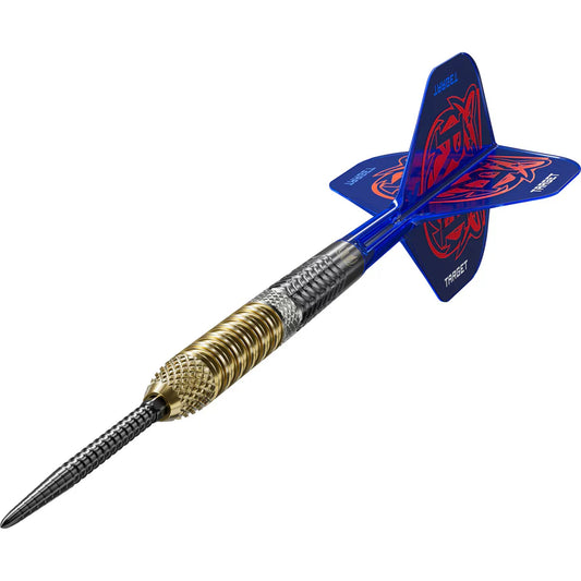 Target Raymond van Barneveld G6 95% Tungsten Swiss Point Darts