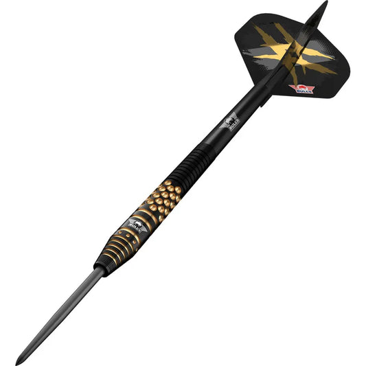 Bull's NL Richard Veenstra E2 90% Tungsten Steel Tip Darts