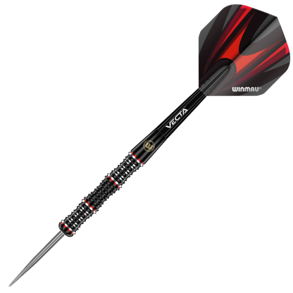 Mervyn King Special Edition Darts