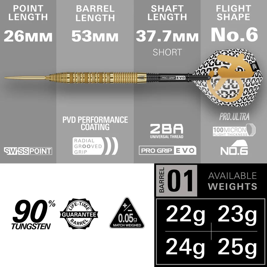 Target Bolide Envy 01 90% Tungsten Swiss Point Darts