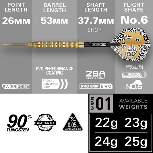 Target Bolide Envy 01 90% Tungsten Swiss Point Darts