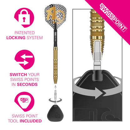 Target Bolide Envy 01 90% Tungsten Swiss Point Darts