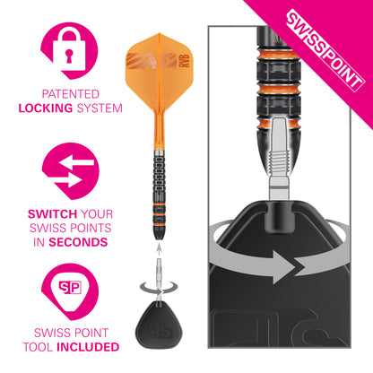 Target Raymond Van Barneveld 95K 95% Tungsten SP Steel Tip Darts