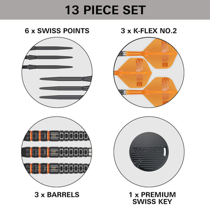Target Raymond Van Barneveld 95K 95% Tungsten SP Steel Tip Darts