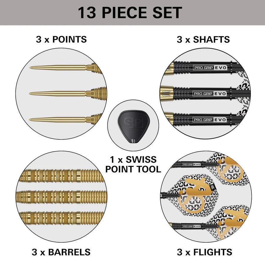 Target Bolide Envy 01 90% Tungsten Swiss Point Darts