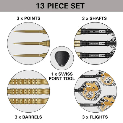 Target Bolide Envy 01 90% Tungsten Swiss Point Darts