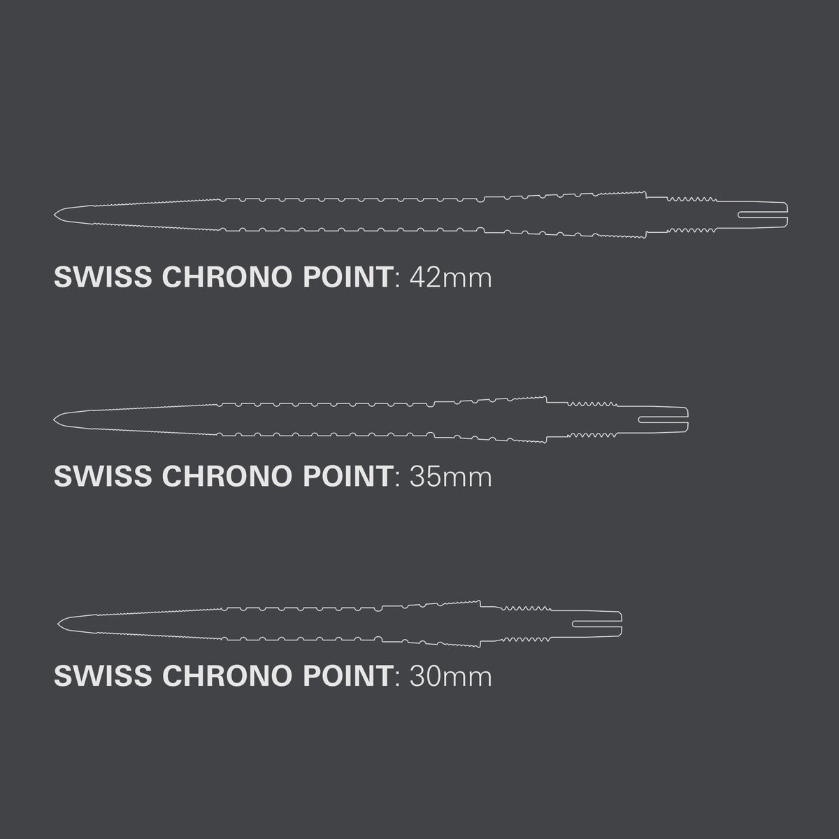 Target Chrono Swiss Storm Point