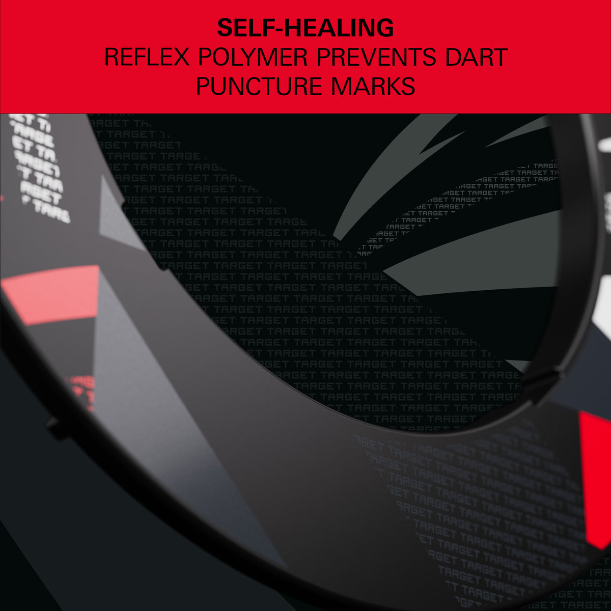 Target Patterned Notched Dartboard Surround
