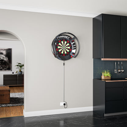 Target Patterned Notched Dartboard Surround