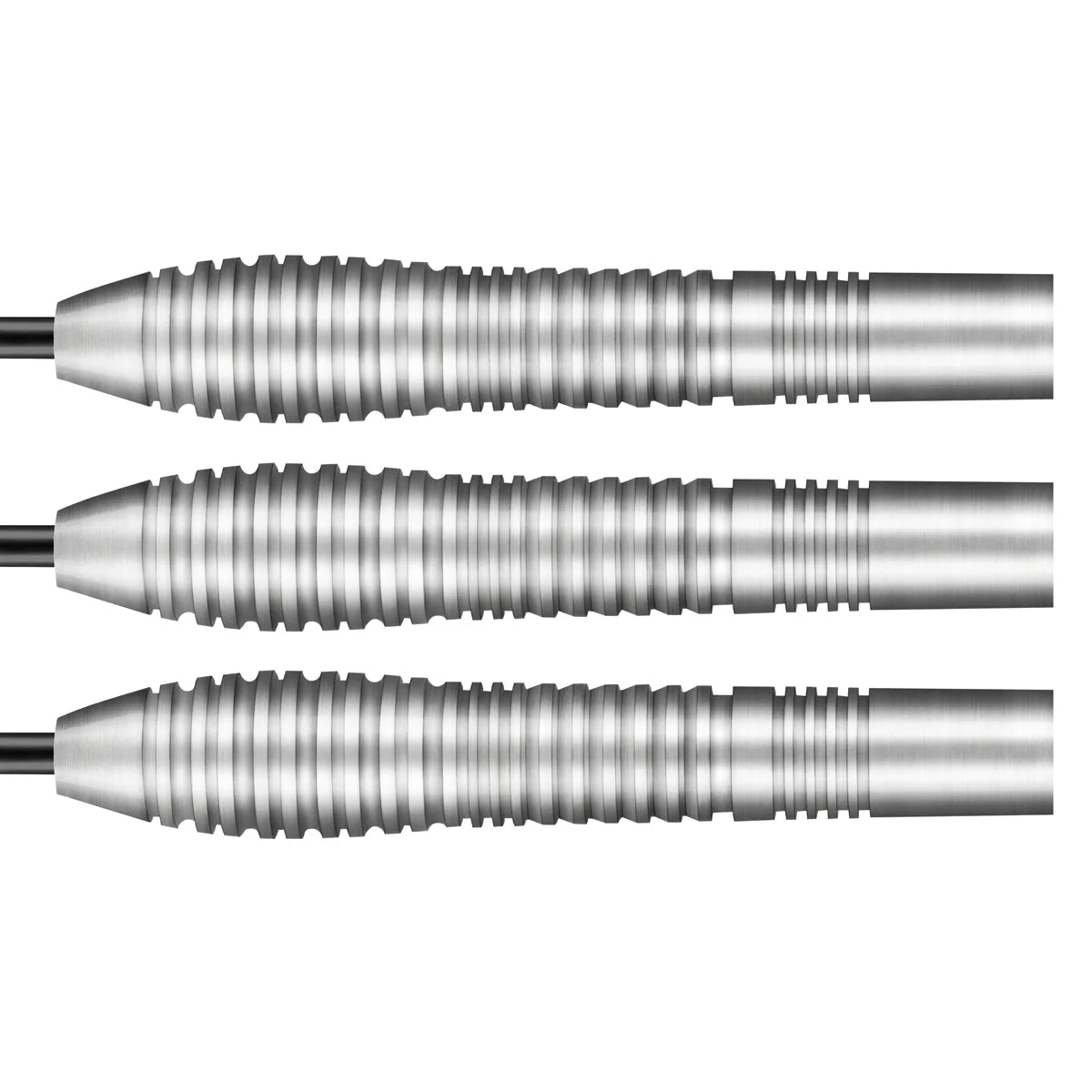 Shot Birds of Prey Kestrel Darts