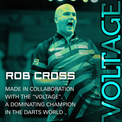 Rob Cross No2 K-Flex Integrated Darts Flights