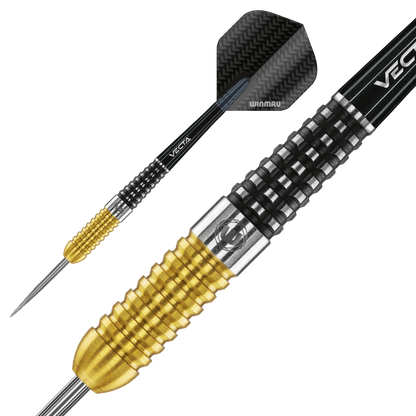 Steve Beaton Special Edition Darts